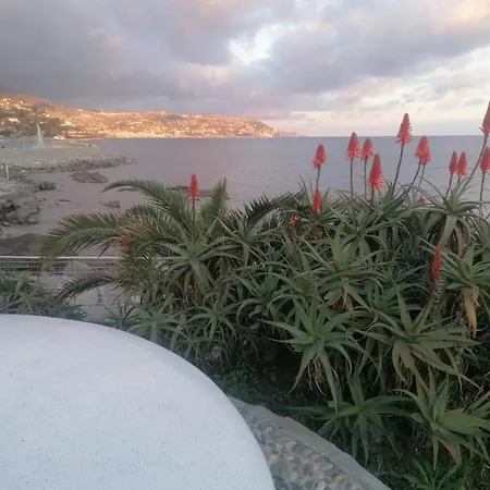 Sunnyrooms Con Terrazza Panoramica Bed & Breakfast